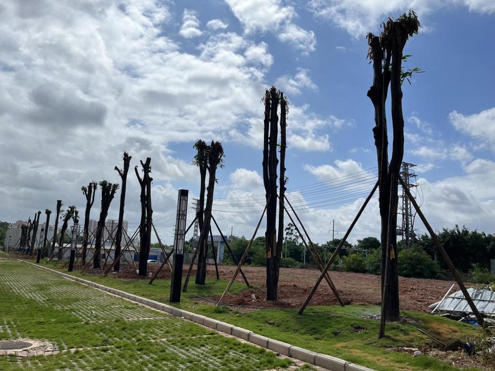 3a465912d0f12f3d71dfe4fbabb2071