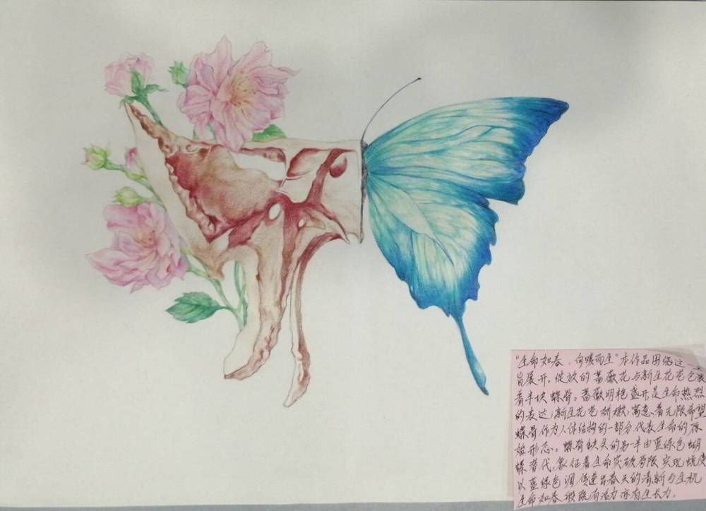 4E7C95512AC22289B0421EFC387FA2E8