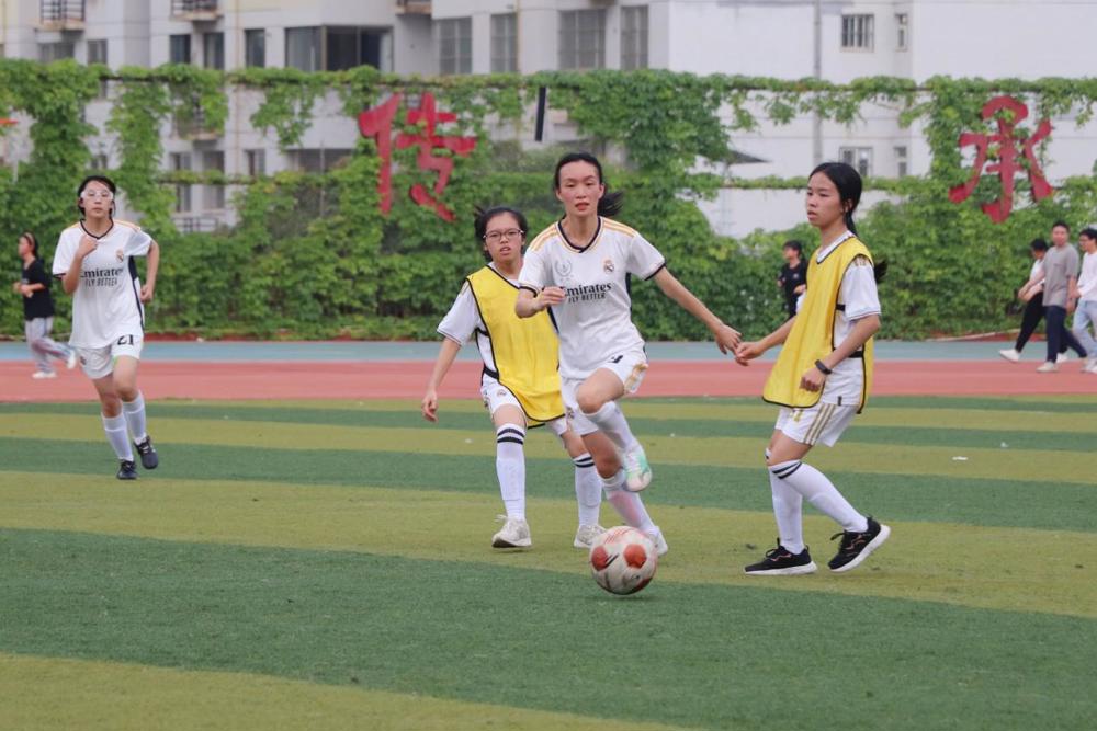 QQ图片20230611153224 QQ图片20230611153224