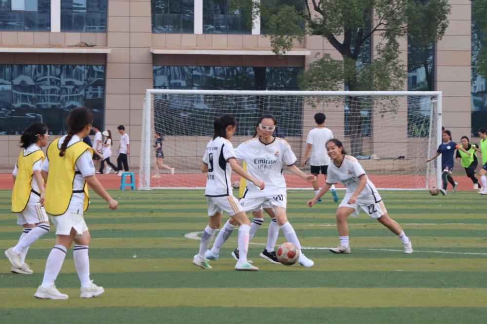 QQ图片20230611153232 QQ图片20230611153232