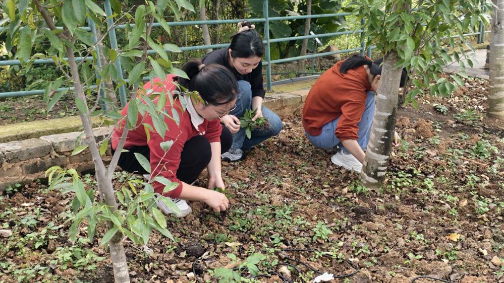 a16451458735f86feff9f52862ebc04 a16451458735f86feff9f52862ebc04