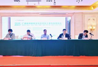 齐聚邕城话教研 共绘发展新蓝图——2025年广西高等教育学会化学化工类专业委员会暨化学（化工、生化、药学、环境、材料）院（系）院长（主任）会在南宁召开